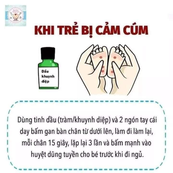 Dầu khuynh diệp Con Ó Eagle Brand Eucalyptus Oil 30ml - Mỹ
