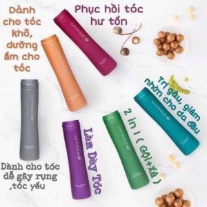 Dầu gội đầu 2 trong 1 Satinique 280ml